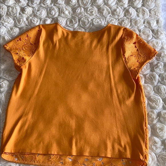 Loft Lace Blouse - Picture 4 of 4